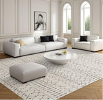 Modern living room with rug