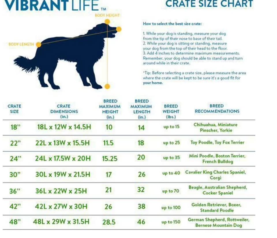 Dog crate size chart with measurements and breed recommendations.