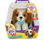 Little Live Pets toy puppy in packaging with purple and yellow accents