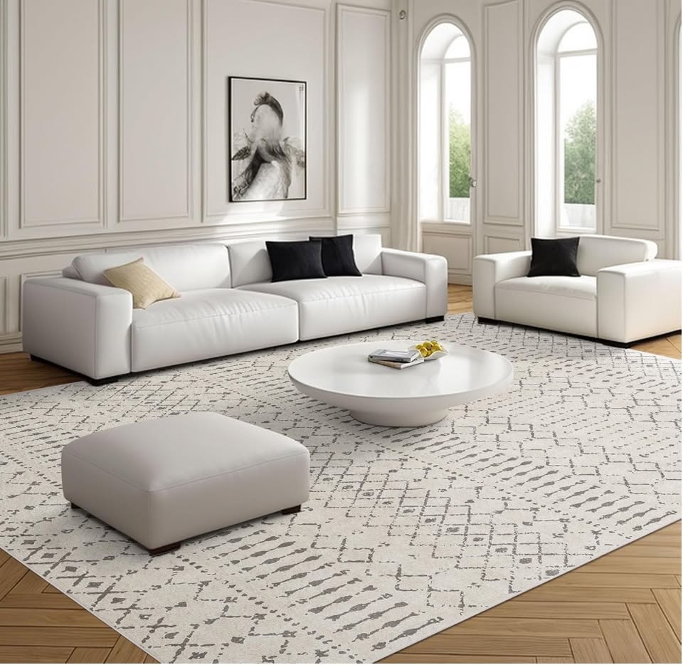Modern living room with rug