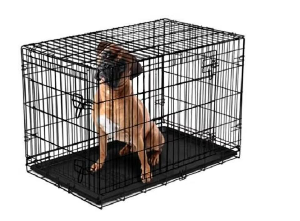 Black metal crate dog inside