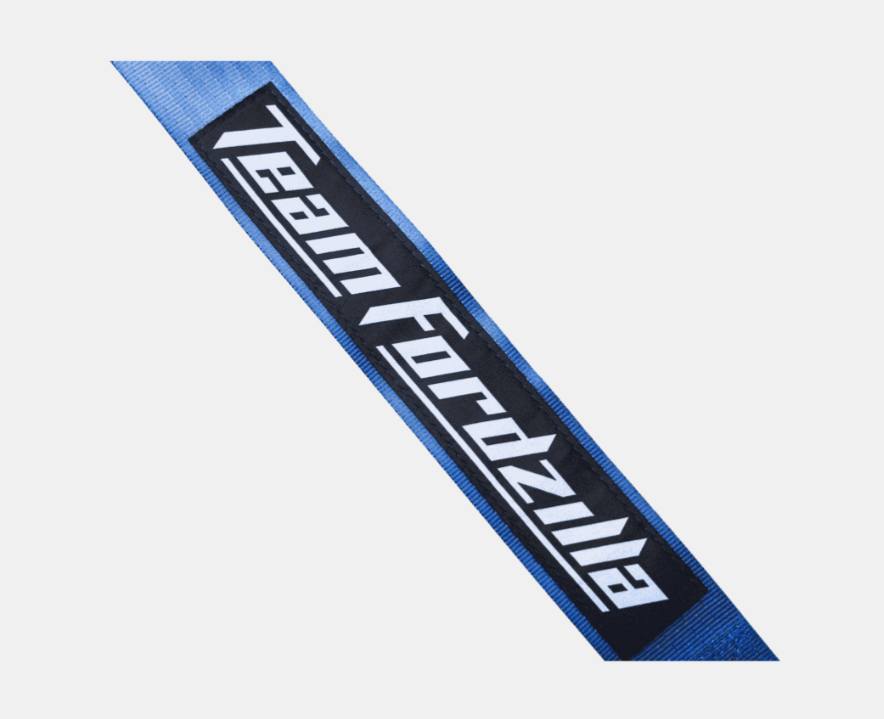 Team Fordzilla logo on a blue and black striped